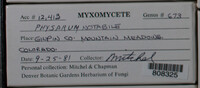 Image Associated With the Occurence